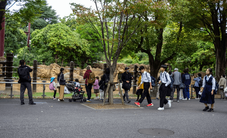 Животные, обезьяна, зоопарк, еда в зоопарке, еда для животных, еда шимпанзе, крал еду у животных, овощи и фрукты, люди в зоопарке