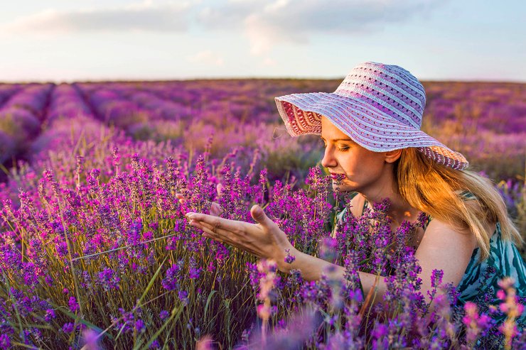 лавандовые поля, путешествия по Украине, зеленый туризм