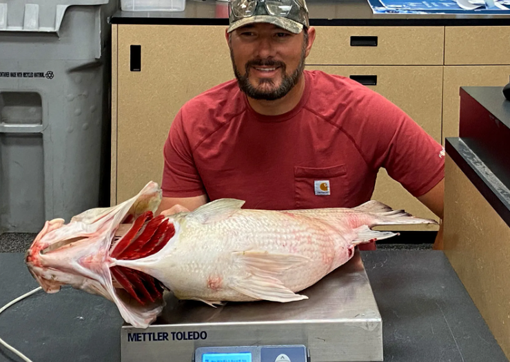 Рибак встановив новий рекорд штату, Кіт Снайдер, гібридний окунь, рибалка, фото, США, курйози