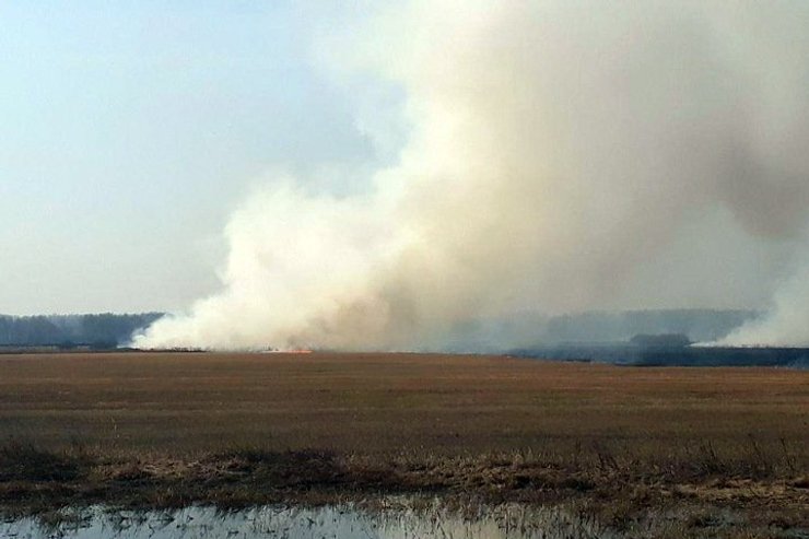лесной пожар в сибири