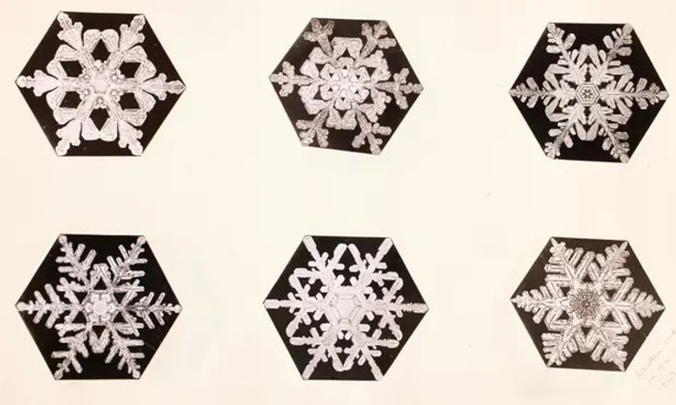 снежинки Бентли