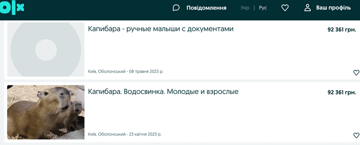 капибара, продажа, украина, olx