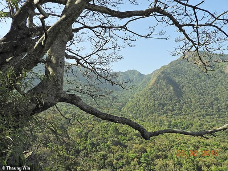 Гора Попа, место обитания лангуров и натов