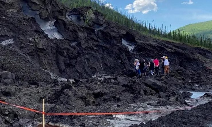 Работник золотодобывающей компании обнаружил мумию детеныша мамонта во время поиска залежей драгоценного метала на участке с очень подходящим к ситуации названием – Эврика-Крик. После того, как о находке стало известно ученым, они сразу же направились к месту раскопок и успели изъять останки животного до того, как над регион нашла буря в виде дождя с громом и молнией