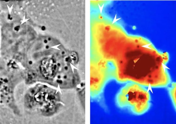 клетки, невидимка