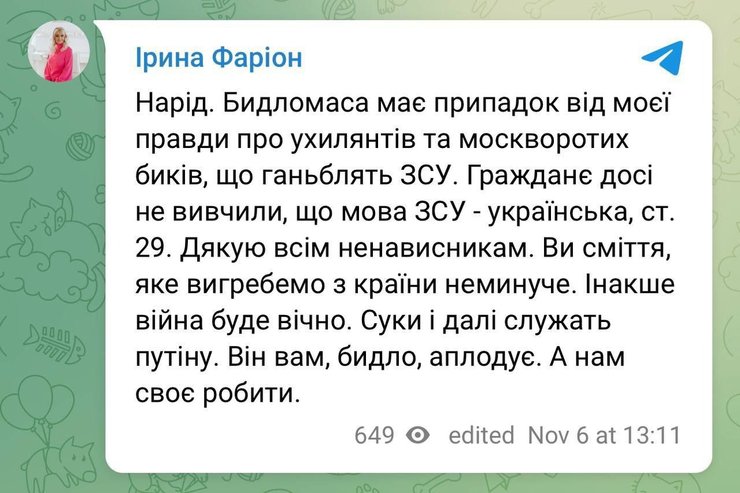 Упрек Ирины Фарион в адрес бойцов "Азова"