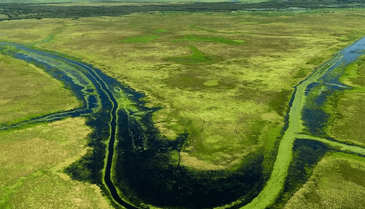 Озеро, река, водоем, крокодил в озере, крокодил напал на человека, крокодил напал на фермера, укусил крокодила,