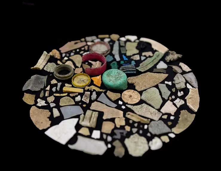 птахи пластикове забруднення