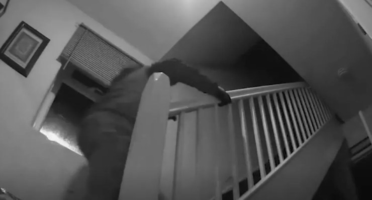 Ограбление в прямом эфире, Великобритания, Рамадан, воры, криминал, курьезы, фото