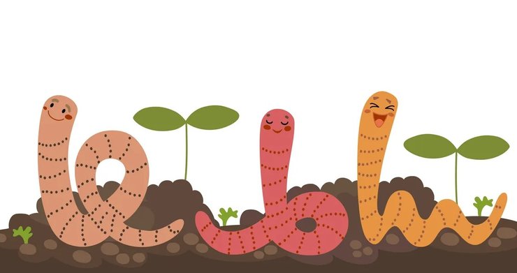 черв'яки, дощ, дощові черв'яки