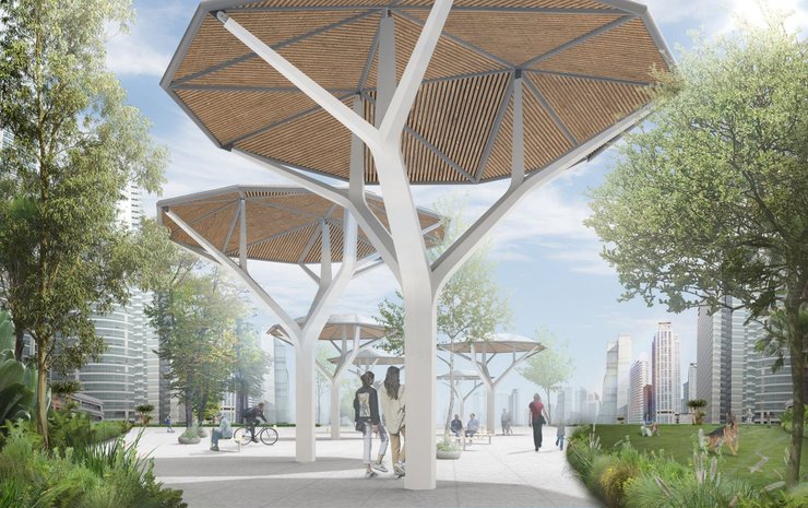 солнечные деревья е-Cacias