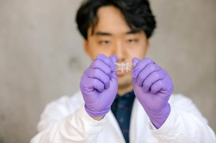 умная кожа, ионная кожа