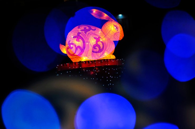 китайский новый год, символ года, черный водяной кролик, как в китае праздную новый год, китайский новый год когда, новый год 2023