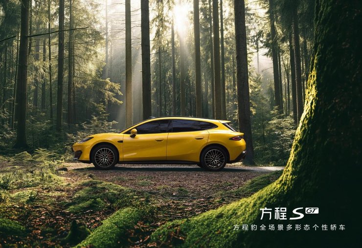 універсал BYD Leopard Formula S GT