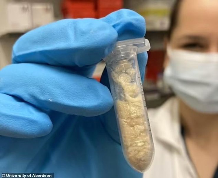 пробірка, вчений, фото