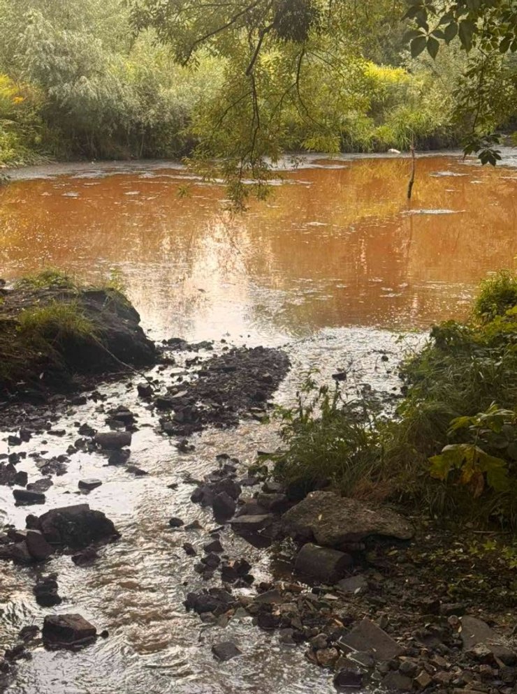 фото брудної водойми на Борщагівці на Київщині 11 серпня 2026 року