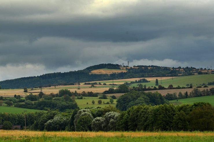 краєвид дерева чехія поля ліс