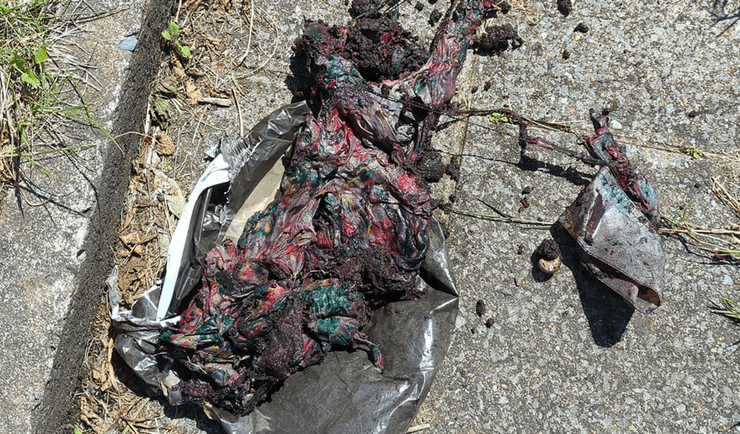 Посилка, служба доставки, кур'єрська служба, жінка знайшла посилку, загублена посилка, посилка в саду, стара сукня, розклалася на шматочки