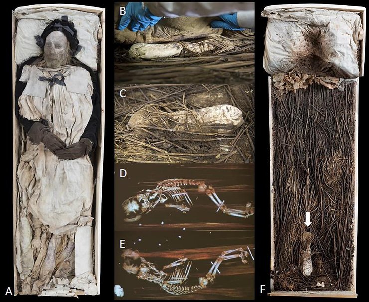 останки, мумія, єпископ, дитина, фото