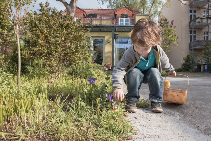Полювання за великодніми яйцями, паска, католицька паска