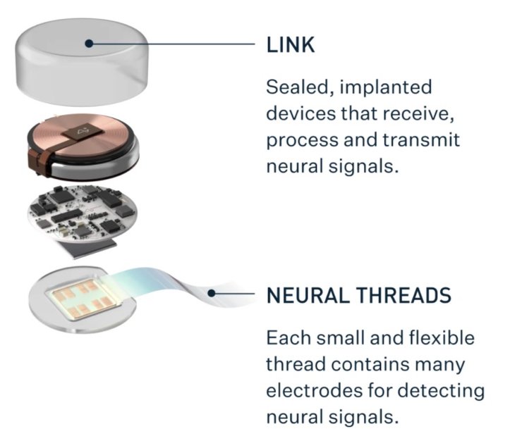 нейрочип, обезьяна, Илон Маск, Neuralink, мозг-машина