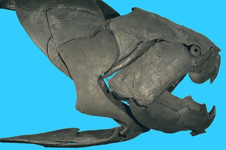 Рыба, хищник, Dunkleosteus, зверь, животное