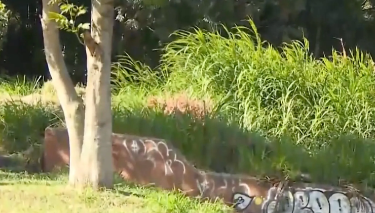 Убийство комика, смерть, похищение, выкуп, Колумбия, преступления, соцсети, знакомства