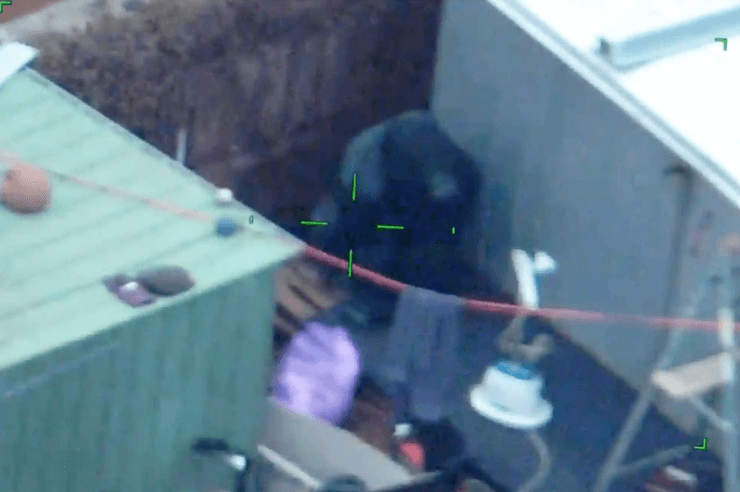 Горила, горила Гаррі, статуя горили