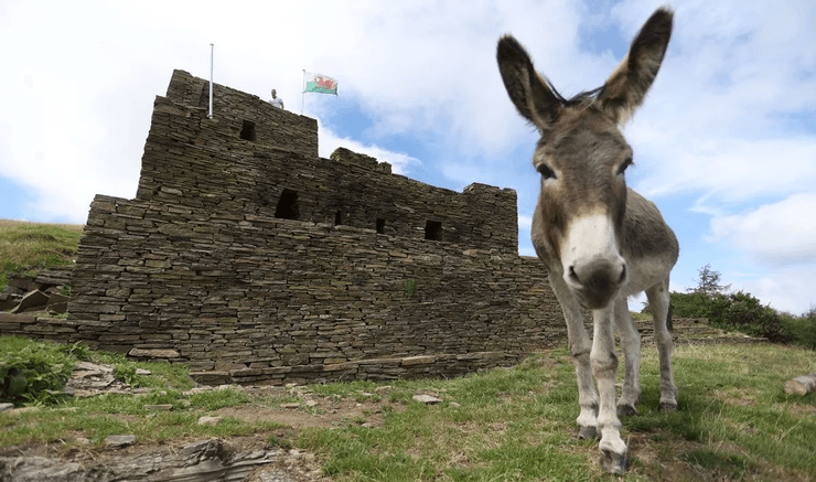 Мужчина построил замок в поле, ветеран войны, крепость, незаконное строительство, ПТСР, спор с горсоветом, разрешение на строительство, снос замка