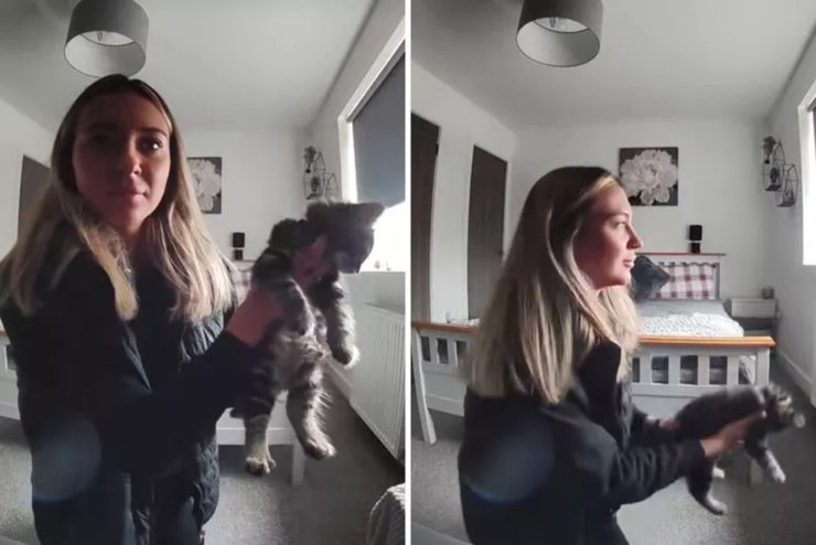 Хозяйка кота, кот, кошка, вирусное видео, котенок, команда хозяйки, дрессировка животных, умный кот, кот машет лапой,