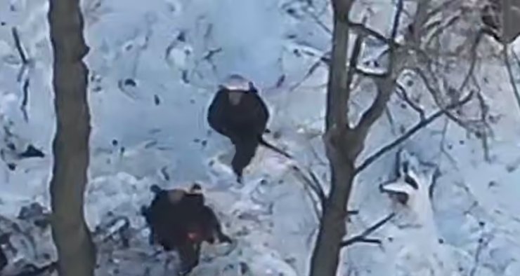 Солдаты КНДР в Курской области