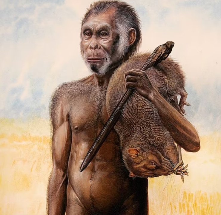хоббит, Homo floresiensis
