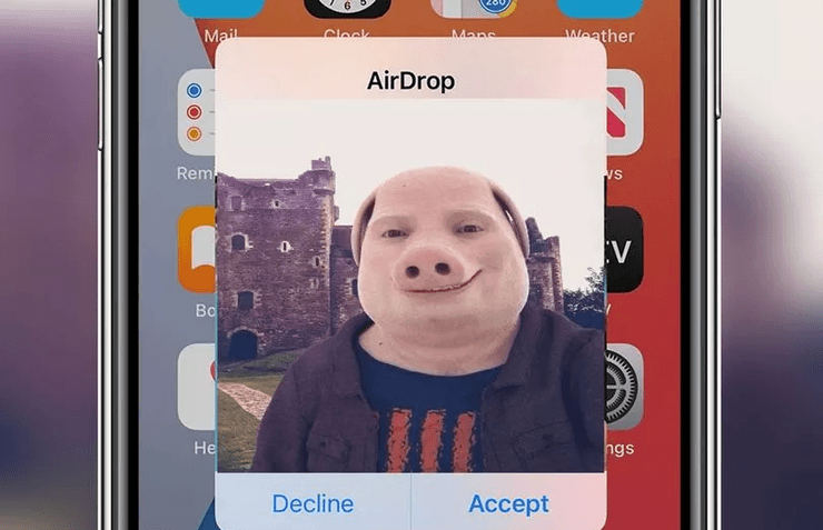 Людина з обличчям свині, John Pork, AirDrop, моторошне зображення, розіграш, новий мем, соцмережі, морда свині, гібрид,