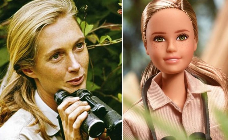 джейн гудолл, барби, приматолог, шипанзе, маттел, выдающиеся женщины