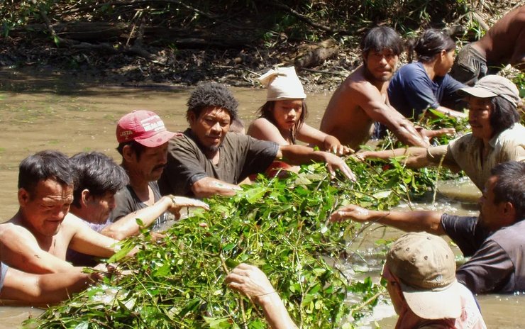 северные аче рыбалка