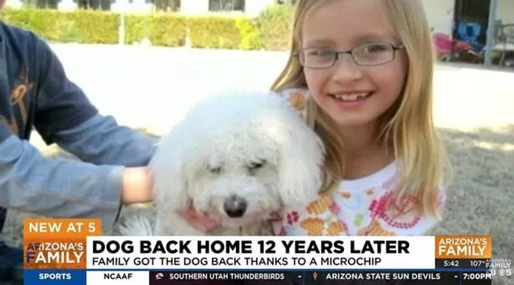 Миньон с хозяйкой 12 лет назад