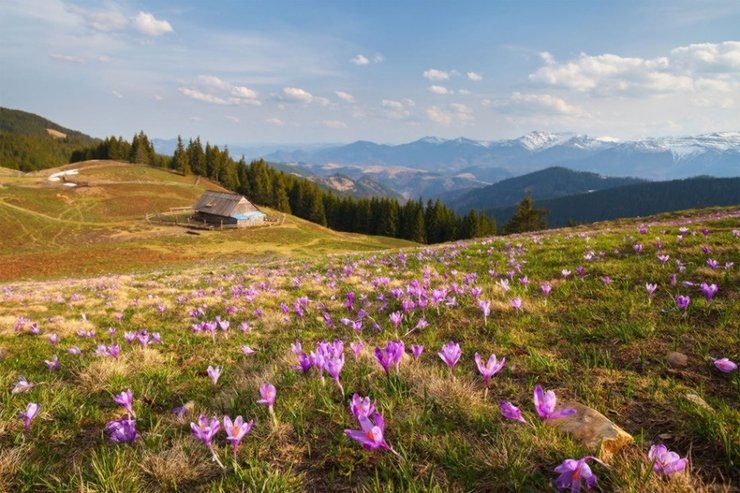 Хребет Костричі