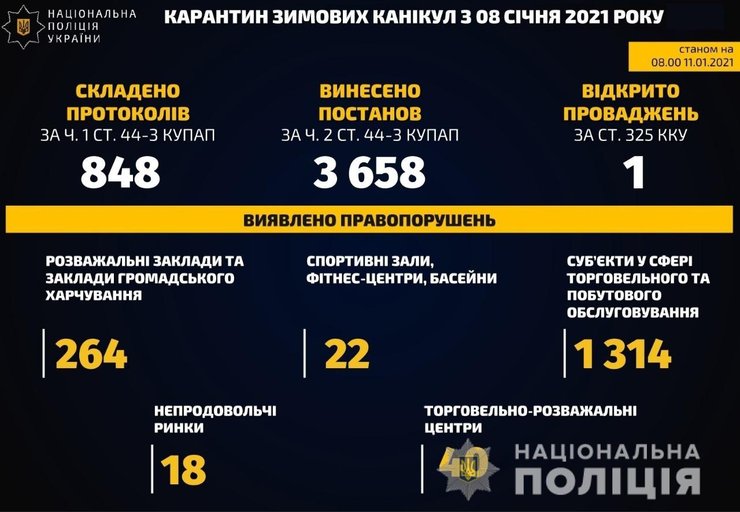 отчет мвд, карантин зимних каникул