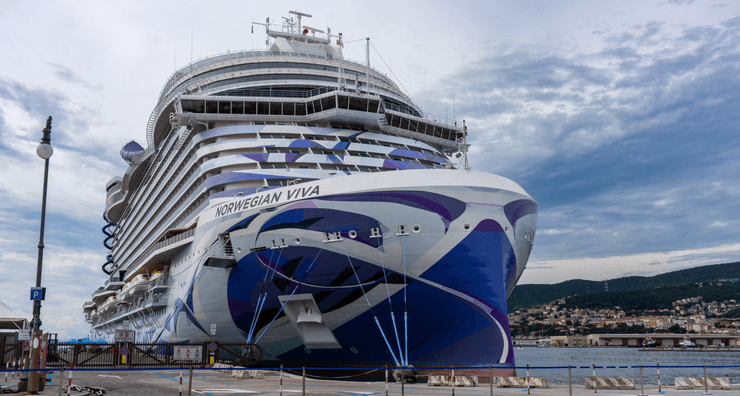Круизный лайнер, корабль, судно, The Norwegian Viva, корабль мечты, забыли туристов, оставили в другой стране, супруги,