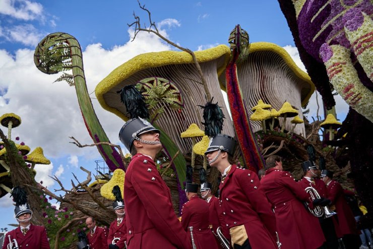 парад, цветы, грибы, Лучшие фотографии 2019