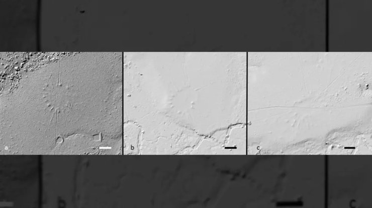 Амазонка, деревни