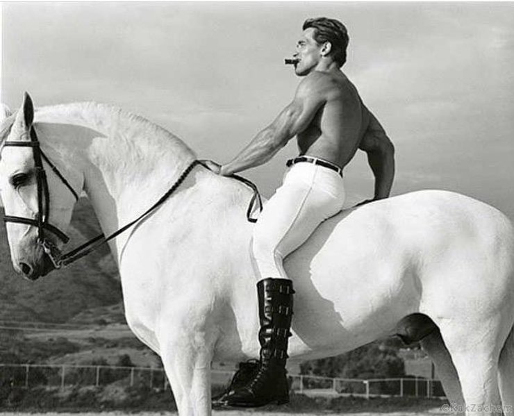 Арнольд Шварценеггер