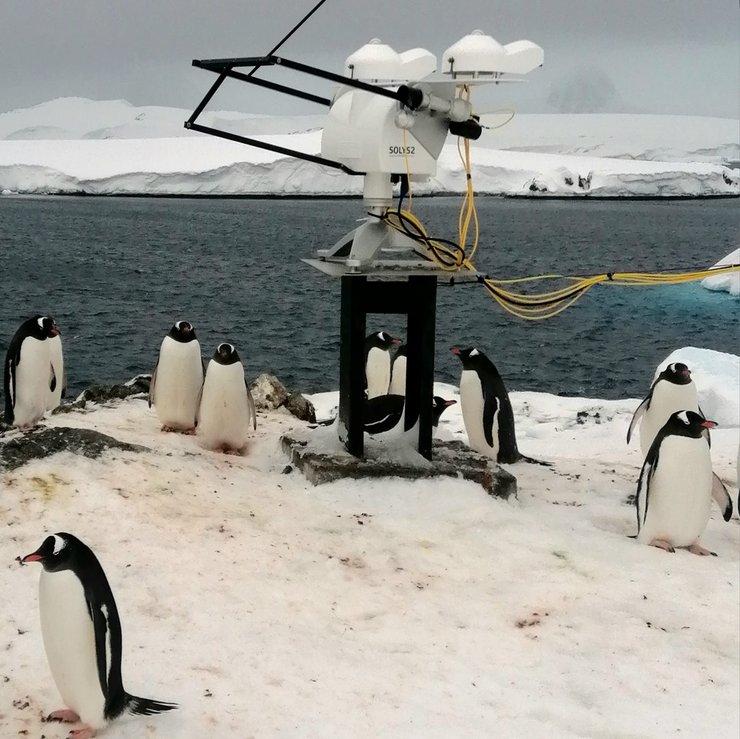 Антарктида, пінгвіни, полярники