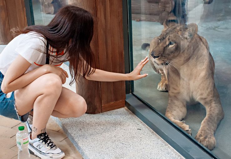 Харківський зоопарк, Харків жити комфортно, куди піти в Харкові