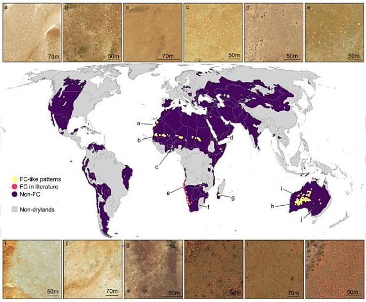 кола фей атлас