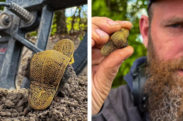 Золоту брошку VI століття знайшли у Данії