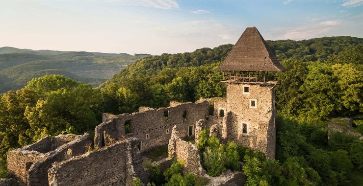 Невицкий замок днем