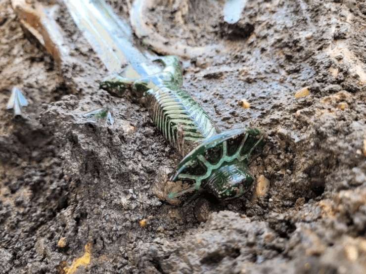 Археологические открытия 2023, Раскопанные древние артефакты, Неандертальцы, Найденные римские реликвии, Вскрытые исторические сокровища, Обнаруженные утраченные цивилизации, Сохранение культурного наследия