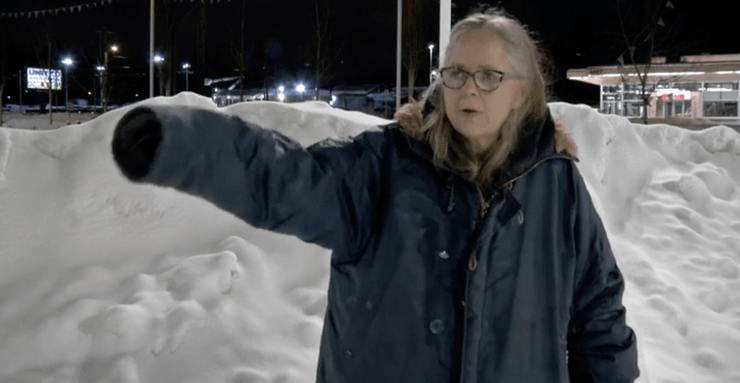 чи може лось напасти на людину, чи може напасти лось, лось напав на людину що робити, якщо зустрів лося в лісі, зустріти лося, прикмета, як відлякати лося від міста, як врятуватися від лося, що робити, якщо напав лось, як лось захищається від ворогів, Чи небезпечні лосі, напад диких тварин,