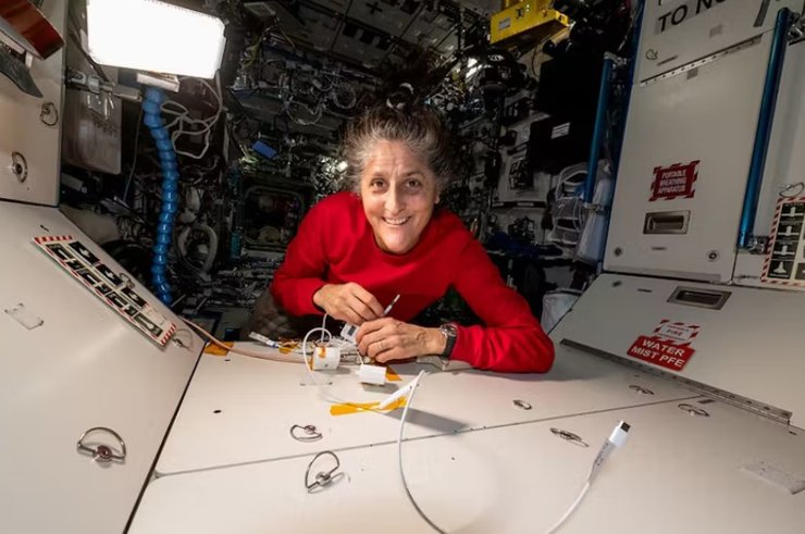 астронавт Суніта Вільямс